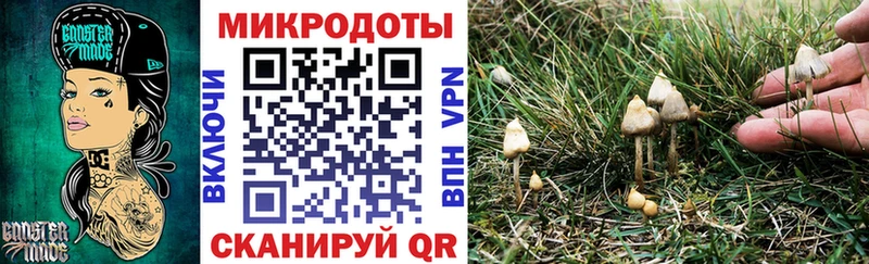 hydra зеркало  Ливны  Галлюциногенные грибы Psilocybe 